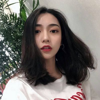 宠物王国2正版下载