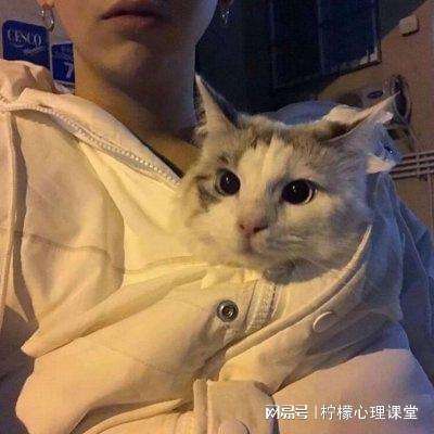 逍遥神域百度手游下载