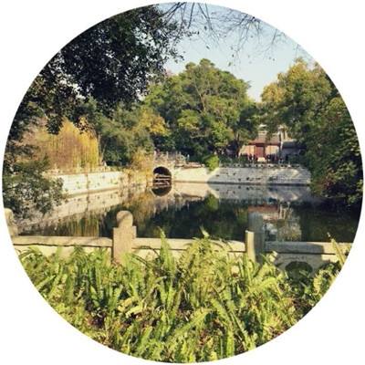 代号新月最新版(暂未上线)v1.0.0 安卓版