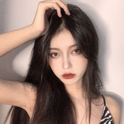村庄日记2汉化版下载