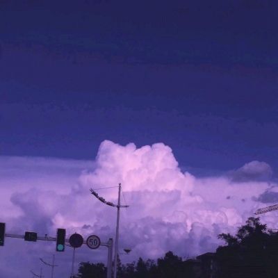 为“链”赋能 向新逐高