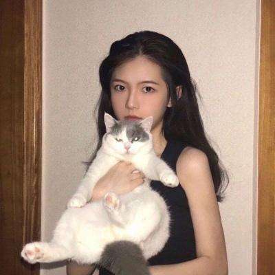量子特攻台湾版下载